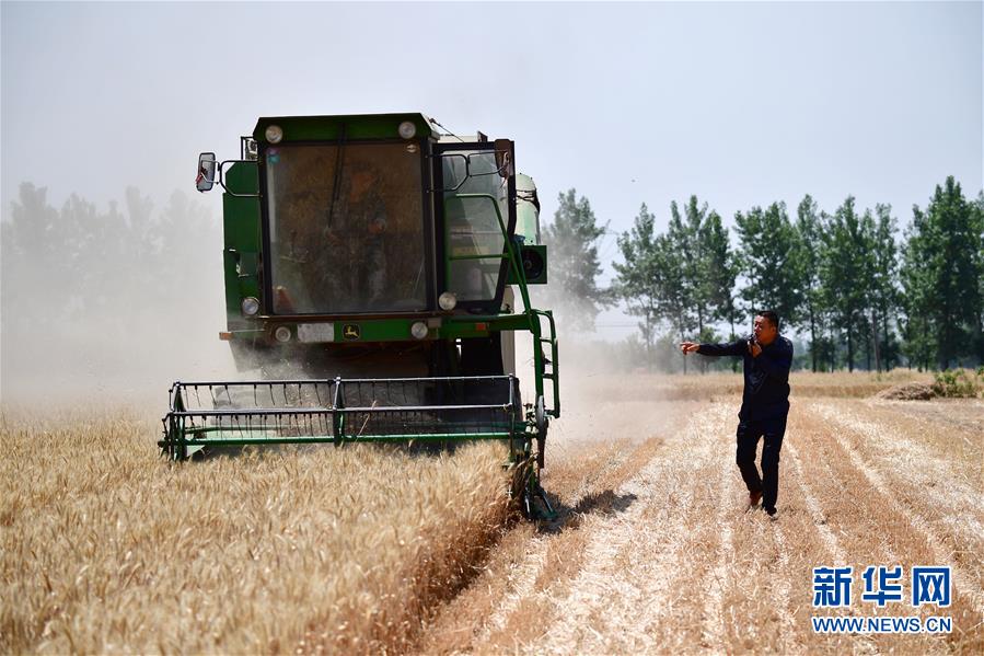 1126041756_15905860889311n.jpg 1126041756_15905860889311n.jpg